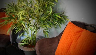 Privéhuis Total Touch Wellness - Erotic Massage in Geleen, Netherlands