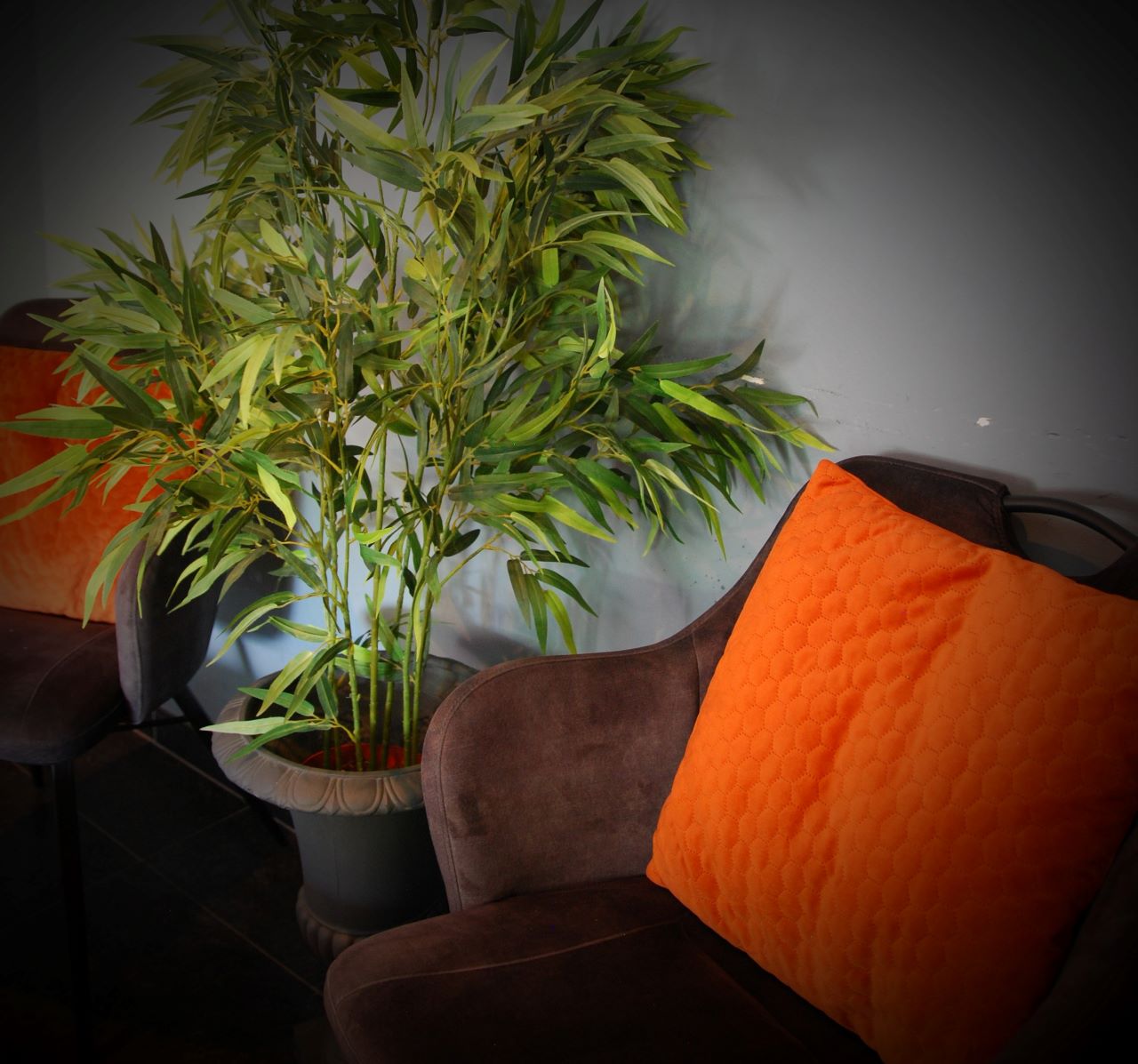 Privéhuis Total Touch Wellness - Erotic Massage in Geleen, Netherlands