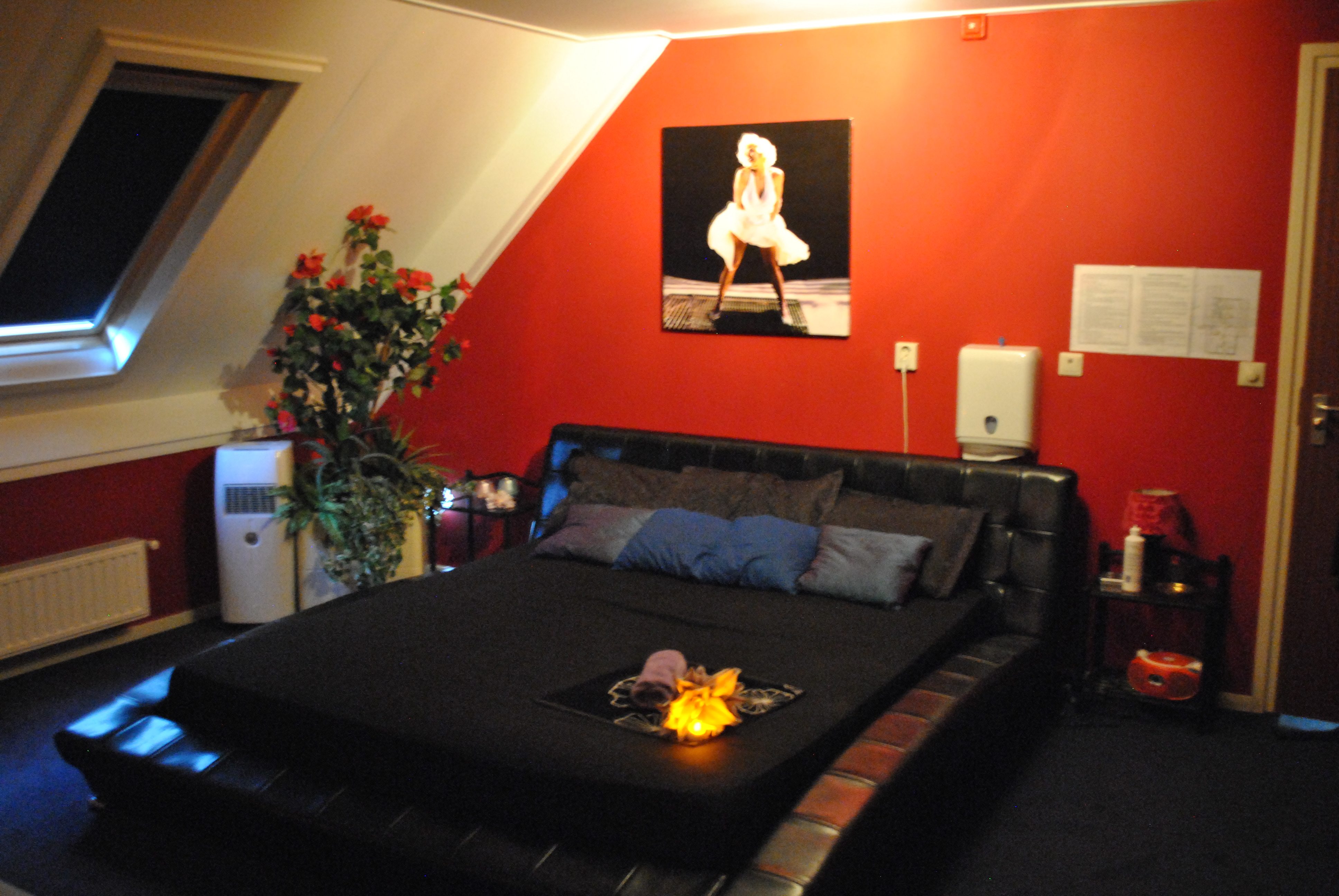 Club4you - Nightclub in Gieterveen, Netherlands