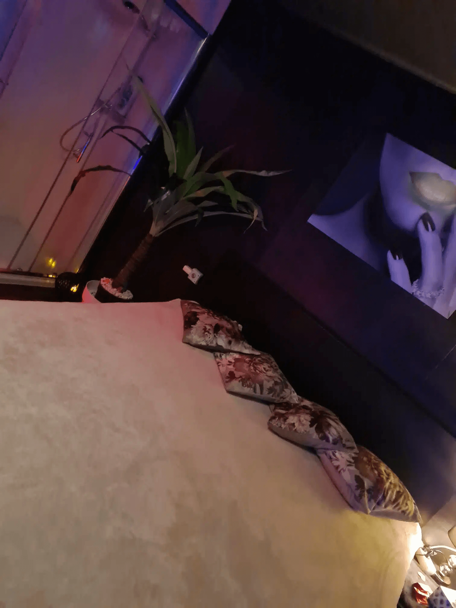 Massagesalon De Roos Massage & Relax - Erotic Massage in Hoogezand, Netherlands