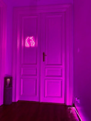 Paradise Reef Kraków - Erotic Massage in Krakow, Poland