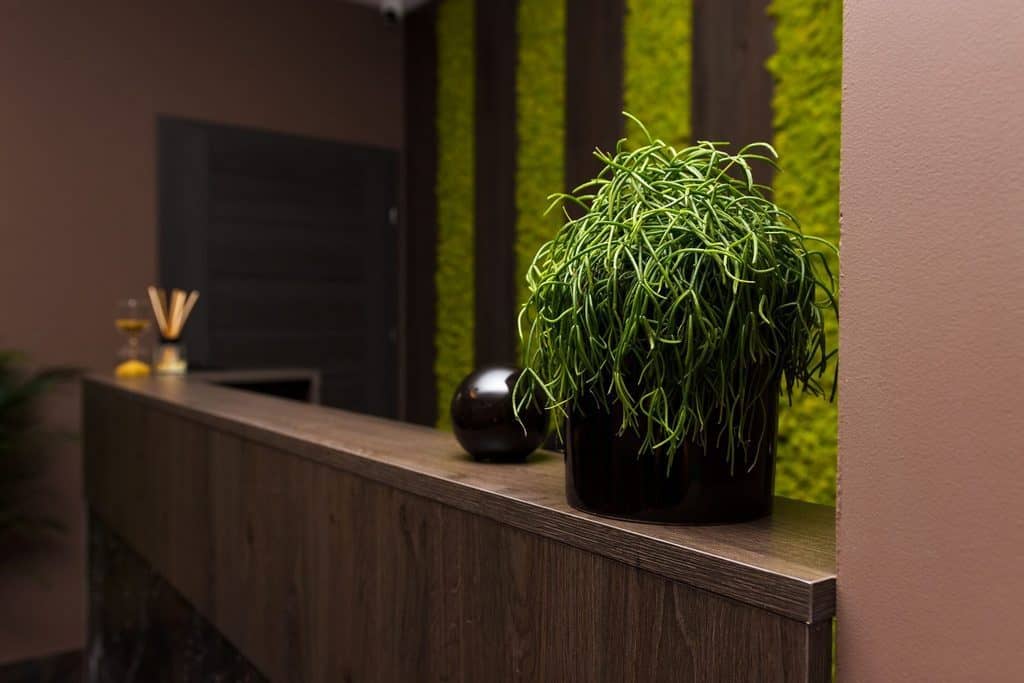Lounge Gardens � Erotic Massage & Spa Warsaw | Masaż Nuru - Erotic Massage in Warsaw, Poland