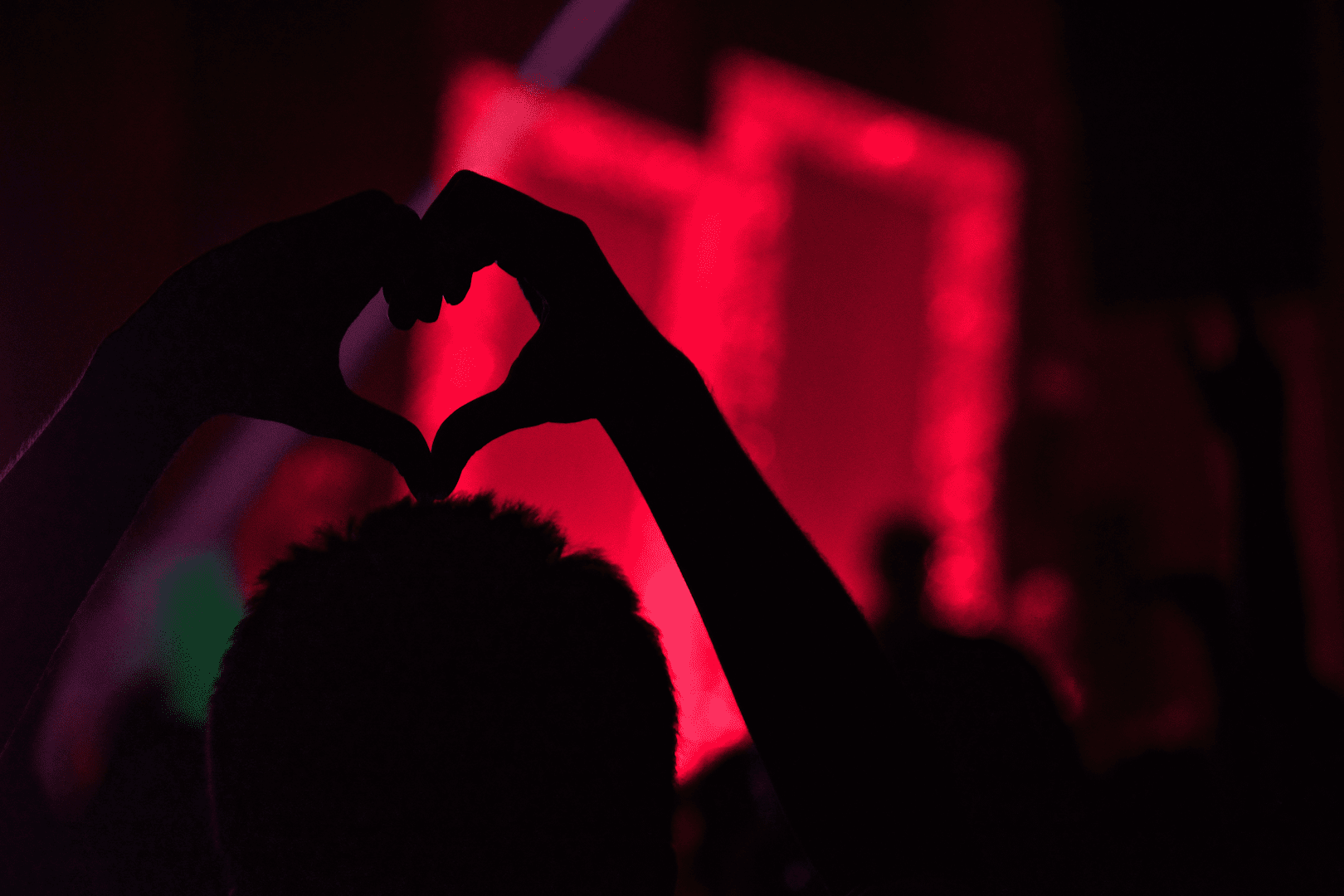Nokis Gentlemen's Club | Best Club In Warsaw - Nightclub in Warsaw, Poland
