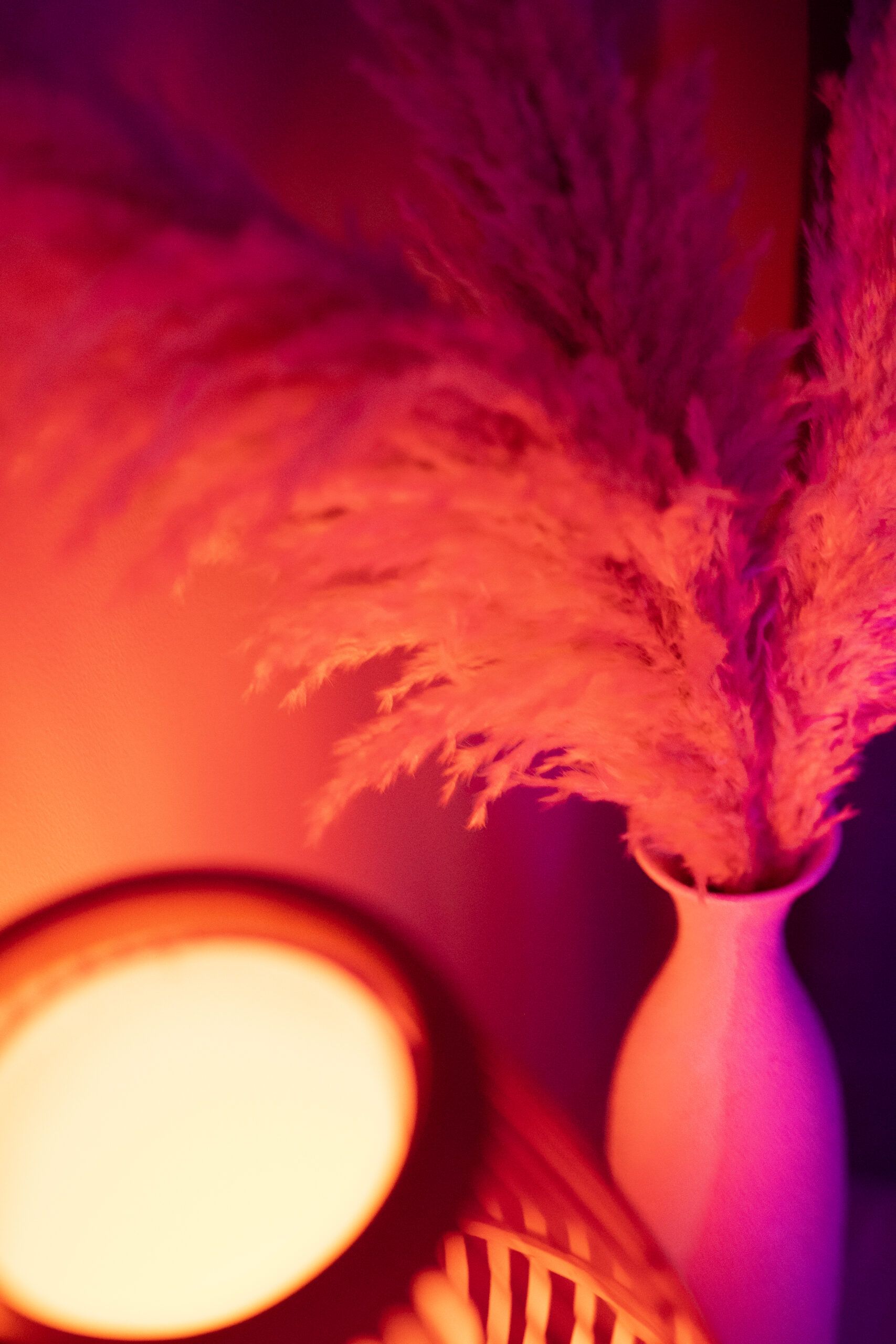 Hypnos Lounge Privè | Nuru Wrocław | Erotic Massage Wroclaw | - Erotic Massage in Wroc Aw, Poland