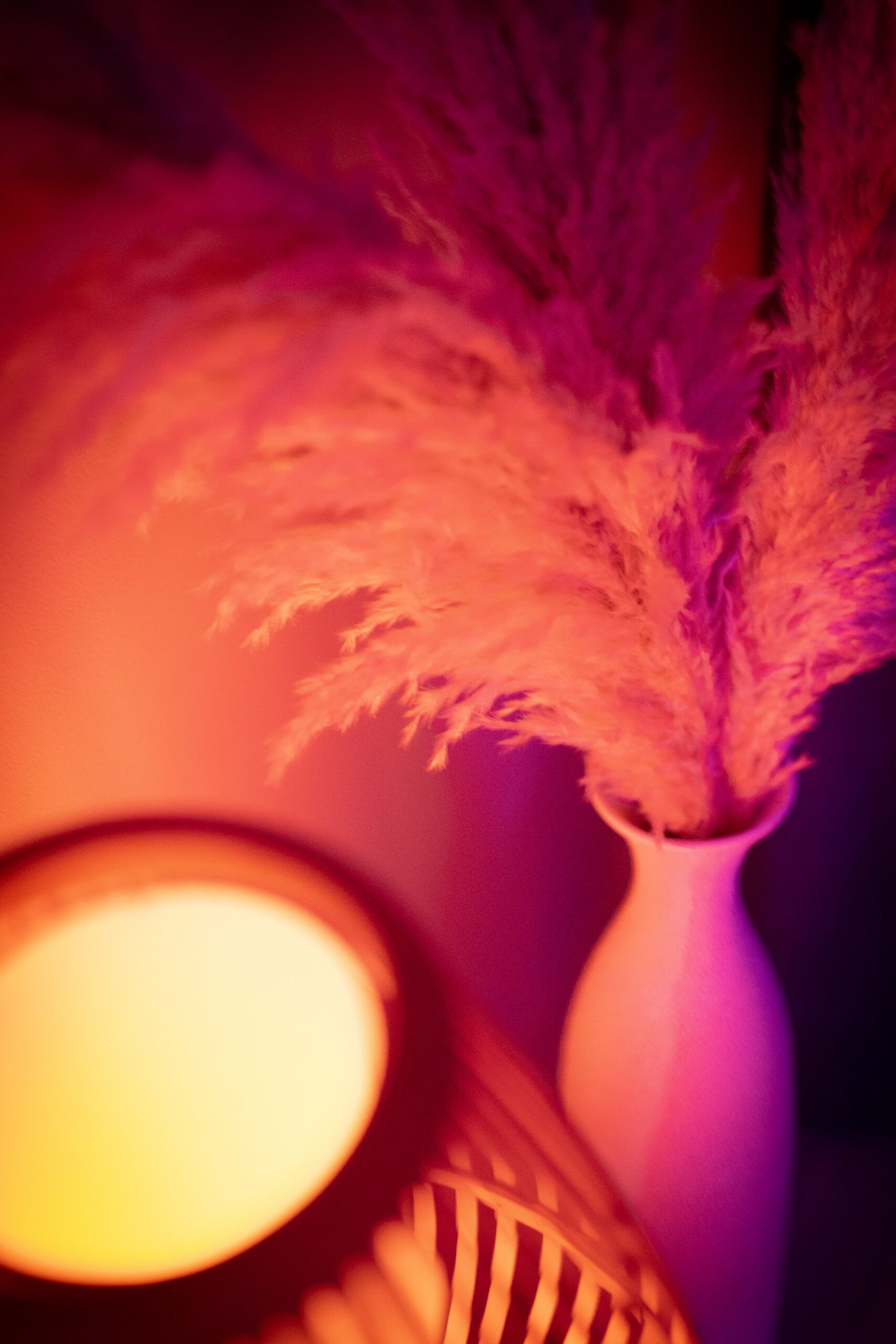 Hypnos Lounge Privè | Nuru Wrocław | Erotic Massage Wroclaw | - Erotic Massage in Wroc Aw, Poland