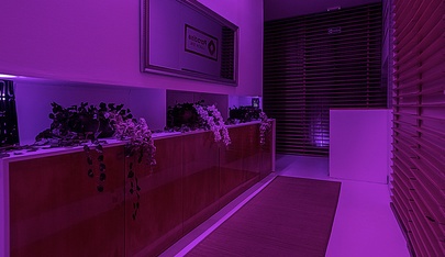Paradise Lisbon SPA - Erotic Massage in Lisboa, Portugal