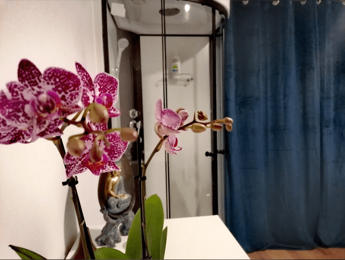Authentic Spa - Erotic Massage in Lisbon, Portugal