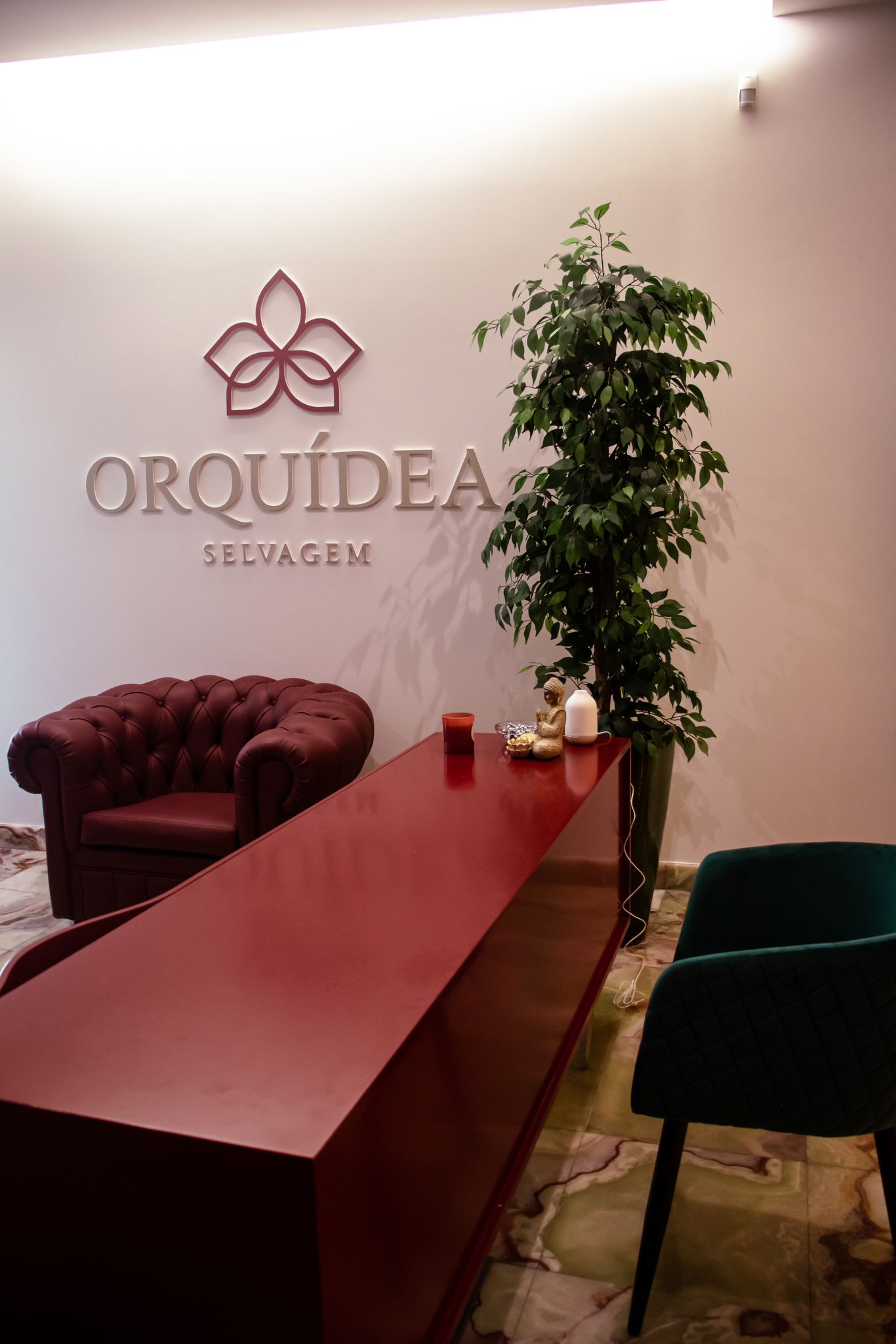 Orquídea Selvagem - Erotic Massage Spa - Erotic Massage in Lisbon, Portugal