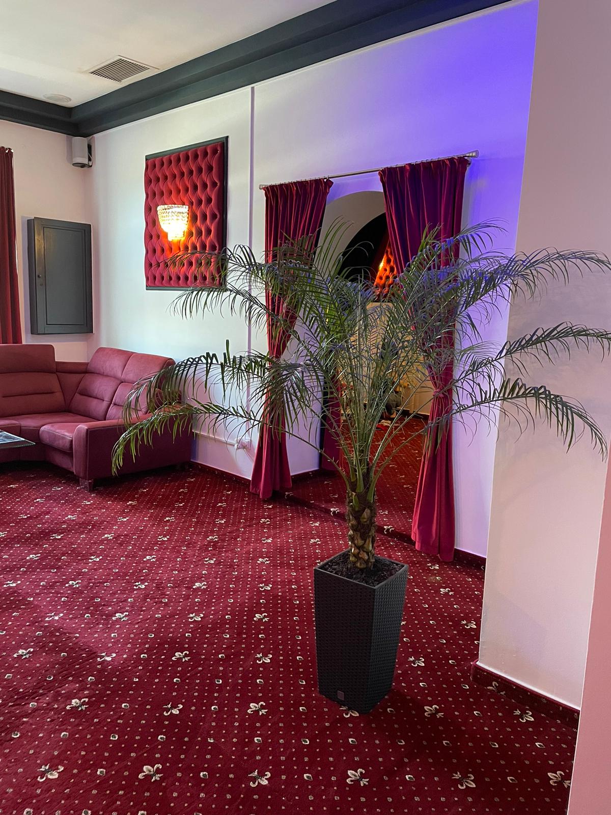 Cleopatra - Night Club & Masaj Erotic Oradea - Erotic Massage in Oradea, Romania