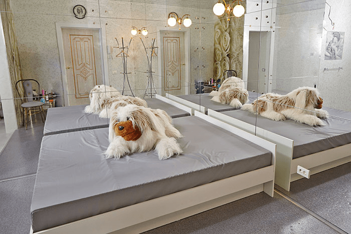 Krasivaya Zhizn' - Erotic Massage in Magnitogorsk, Russia