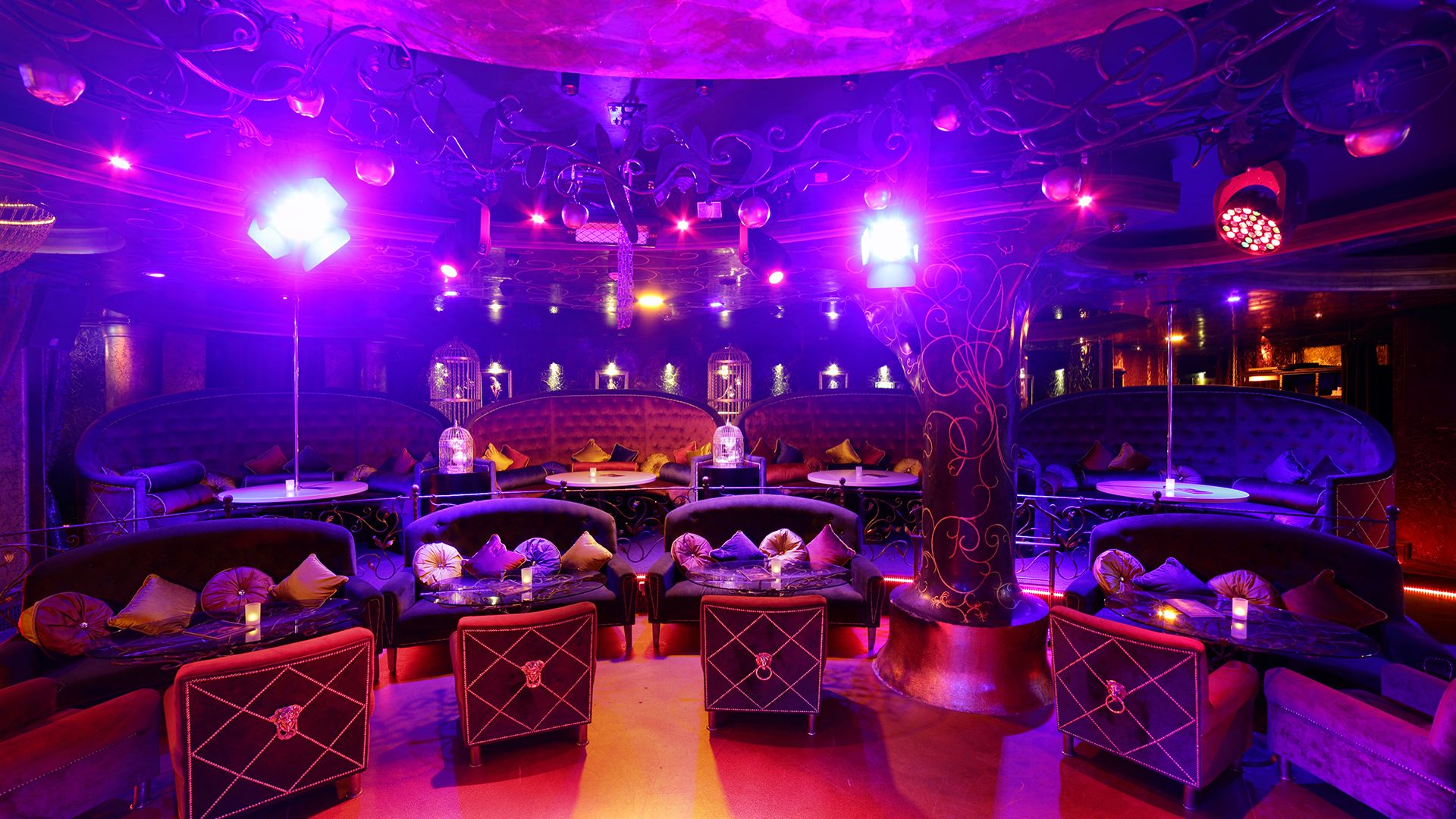 Strip Club "Rasputin" - Nightclub in Moscow, Russia