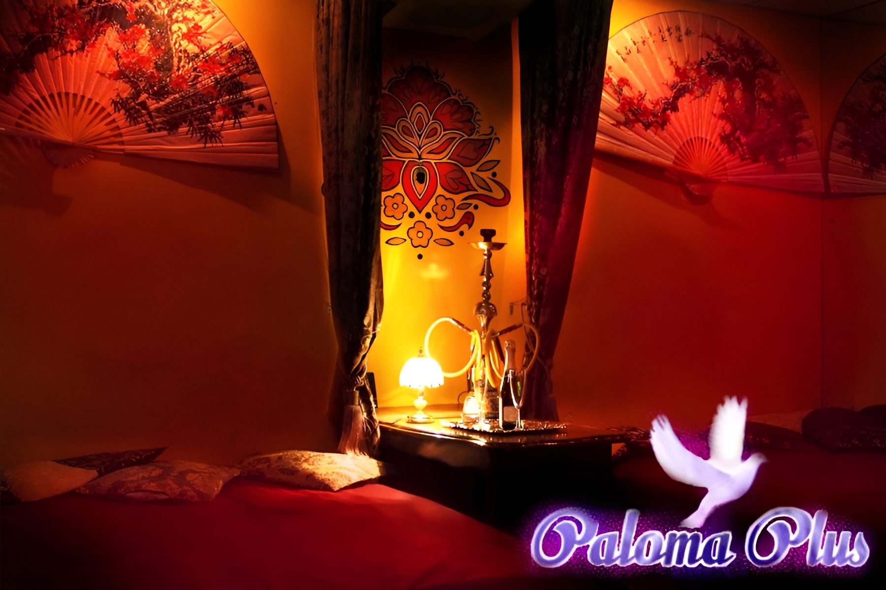 Paloma Plus - Erotic Massage in Omsk, Russia