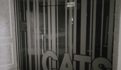 Striptease Club Cats - Nightclub in Stavropol, Russia