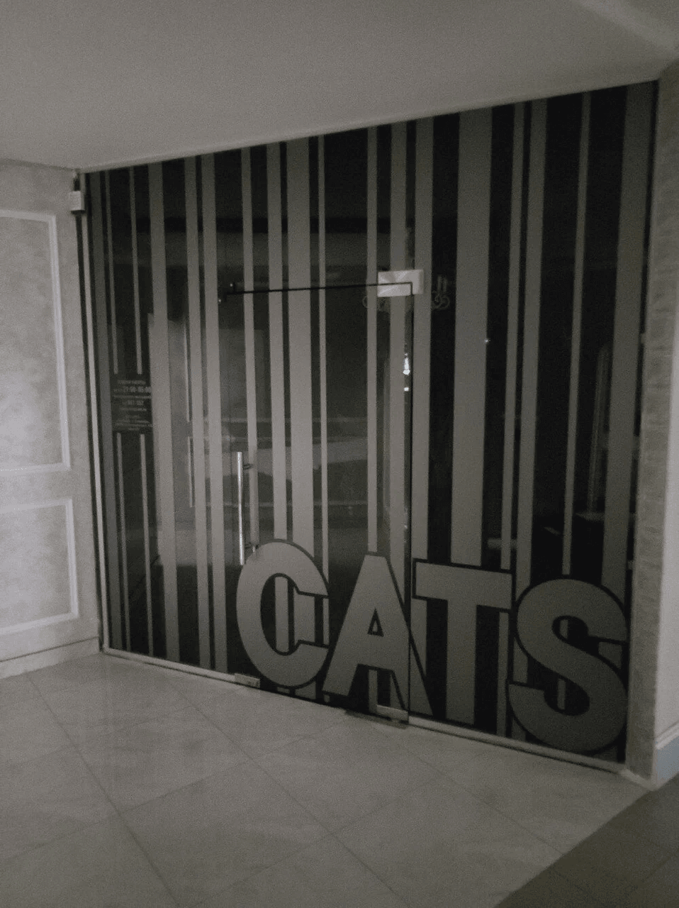 Striptease Club Cats - Nightclub in Stavropol, Russia