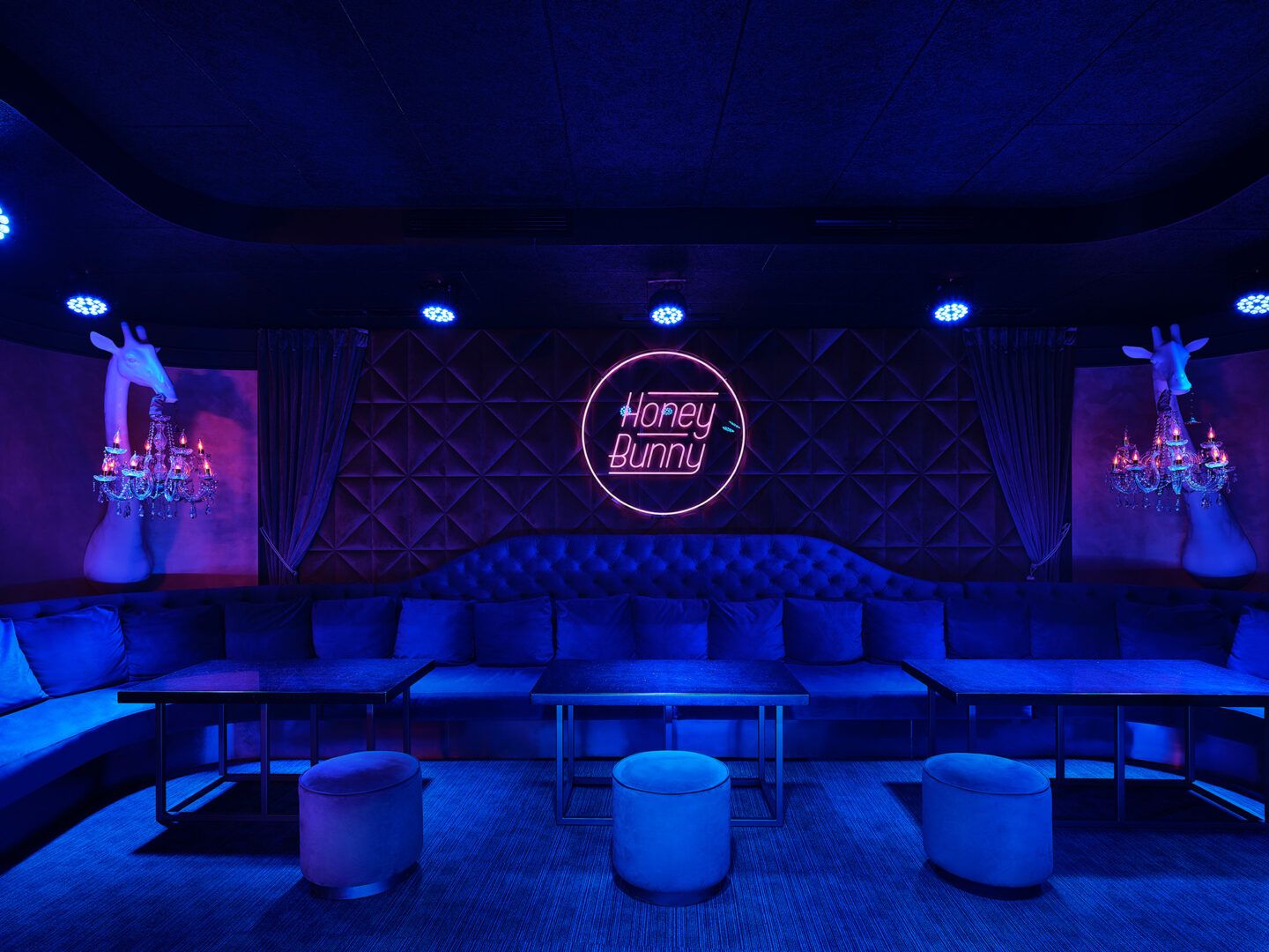 Honey Bunny (Volgograd) - Nightclub in Volgograd, Russia