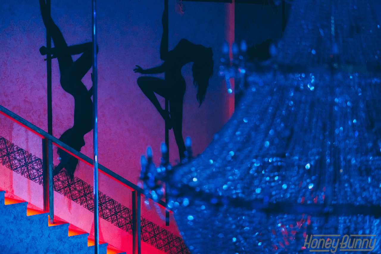 Honey Bunny (Volgograd) - Nightclub in Volgograd, Russia