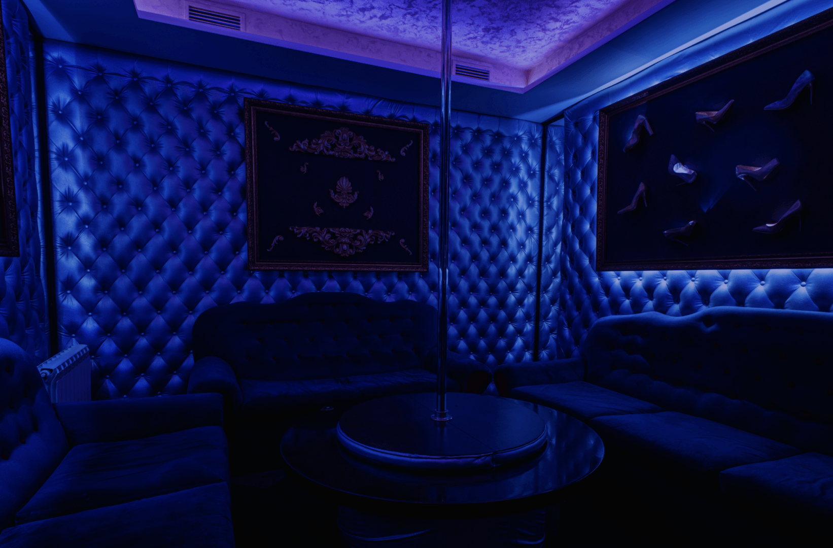 Honey Bunny (Volgograd) - Nightclub in Volgograd, Russia