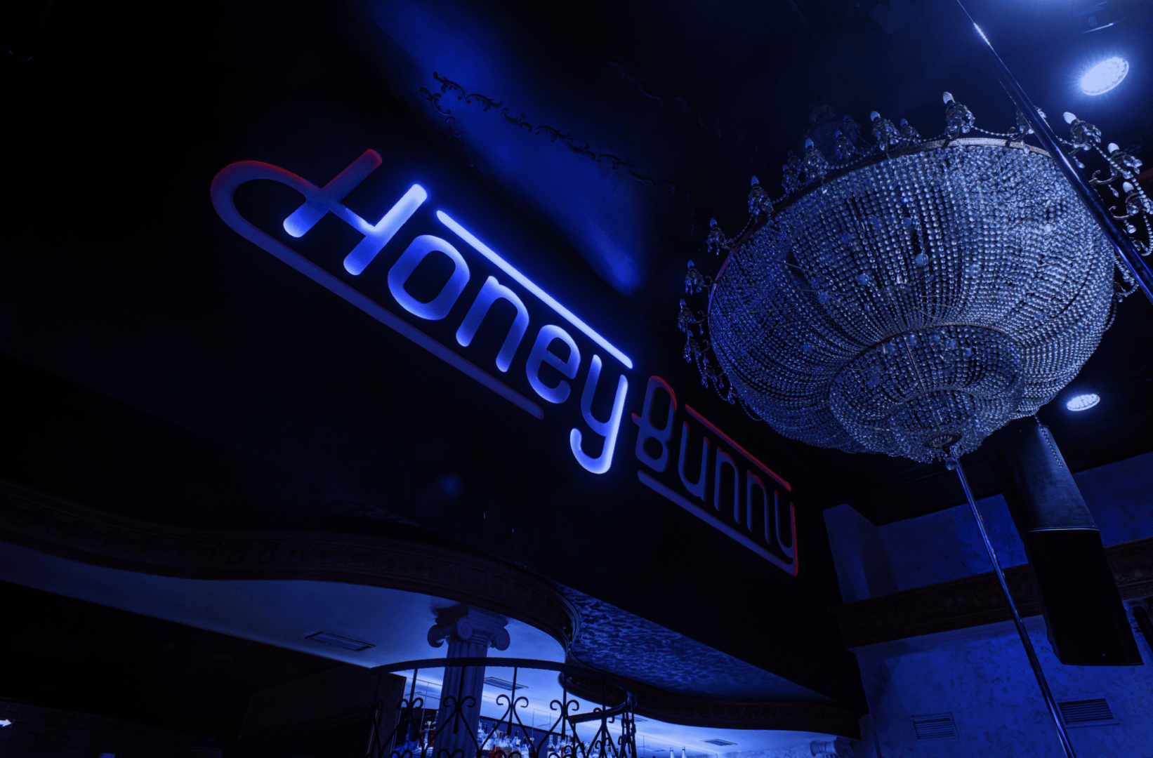 Honey Bunny (Volgograd) - Nightclub in Volgograd, Russia