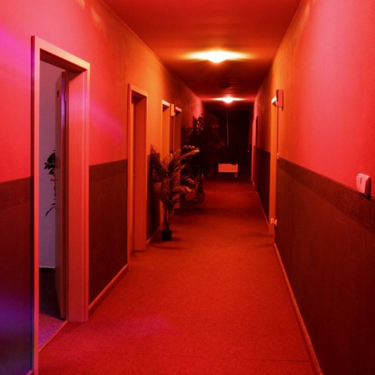 Babylon Sauna Night Club - Nightclub in Bratislava, Slovakia