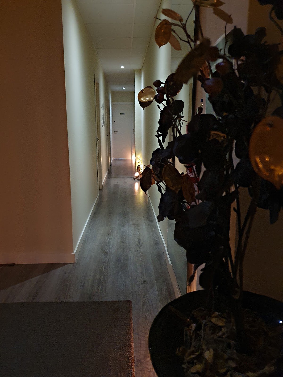 Magic Sensity Massage - Erotic Massage in Barcelona, Spain