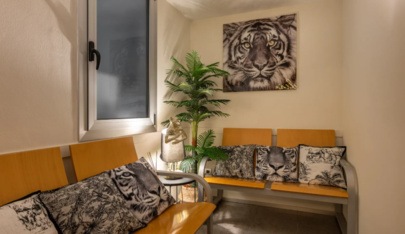Tantra Paradise Massage Barcelona - Erotic Massage in Barcelona, Spain