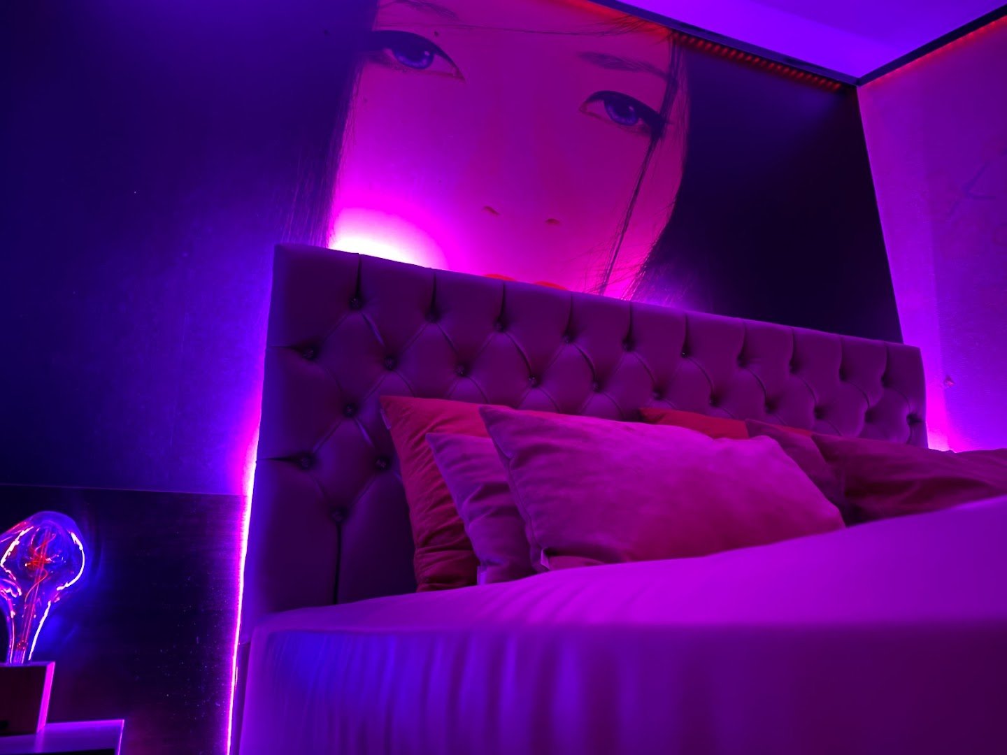 Pink Lady - Gentlemen’s Club - Nightclub in Barcelona, Spain