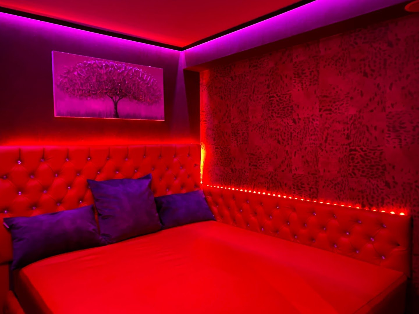 Pink Lady - Gentlemen’s Club - Nightclub in Barcelona, Spain