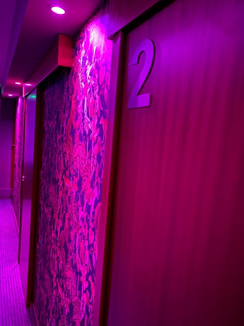 Pink Lady - Gentlemen’s Club - Nightclub in Barcelona, Spain
