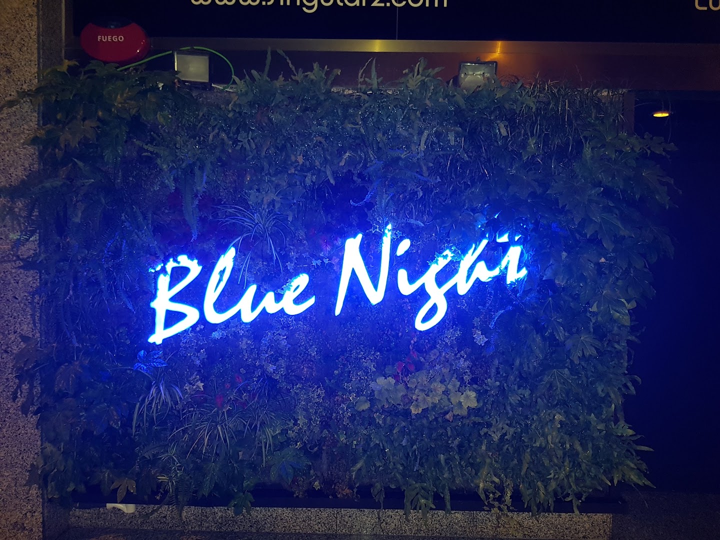 Strip Club Barcelona Blue Night - Nightclub in Barcelona, Spain