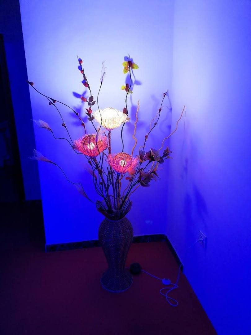 Japanese Massage - Sex Shop - Erotic Massage in Costa Adeje, Spain