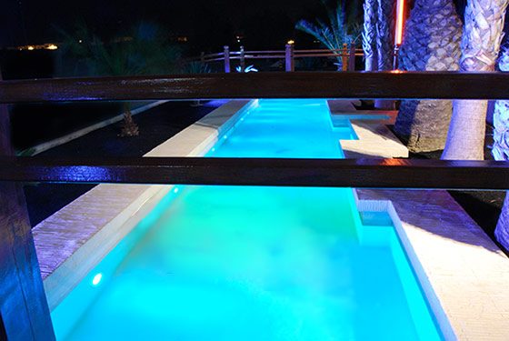 Las Palmeras - Night Pub Alicante - Nightclub in Elche, Spain