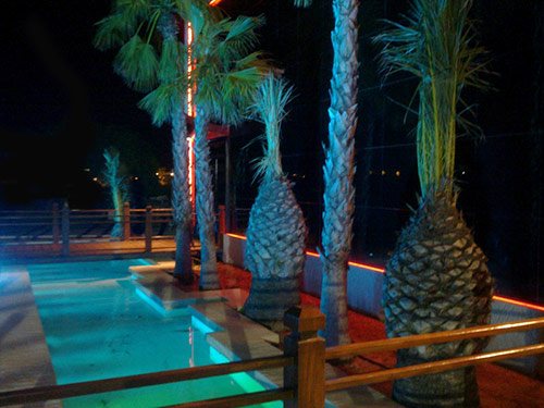 Las Palmeras - Night Pub Alicante - Nightclub in Elche, Spain
