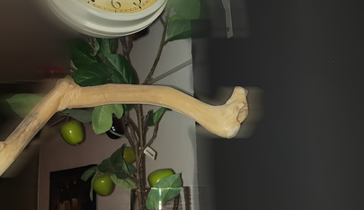 Spa Rasputin - Erotic Massage in Madrid, Spain