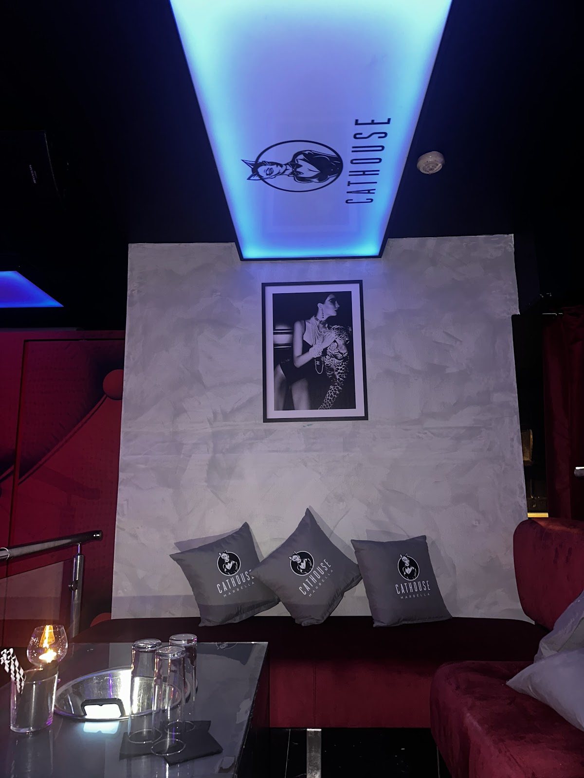 Cathouse Marbella - Nightclub in Marbella, Spain