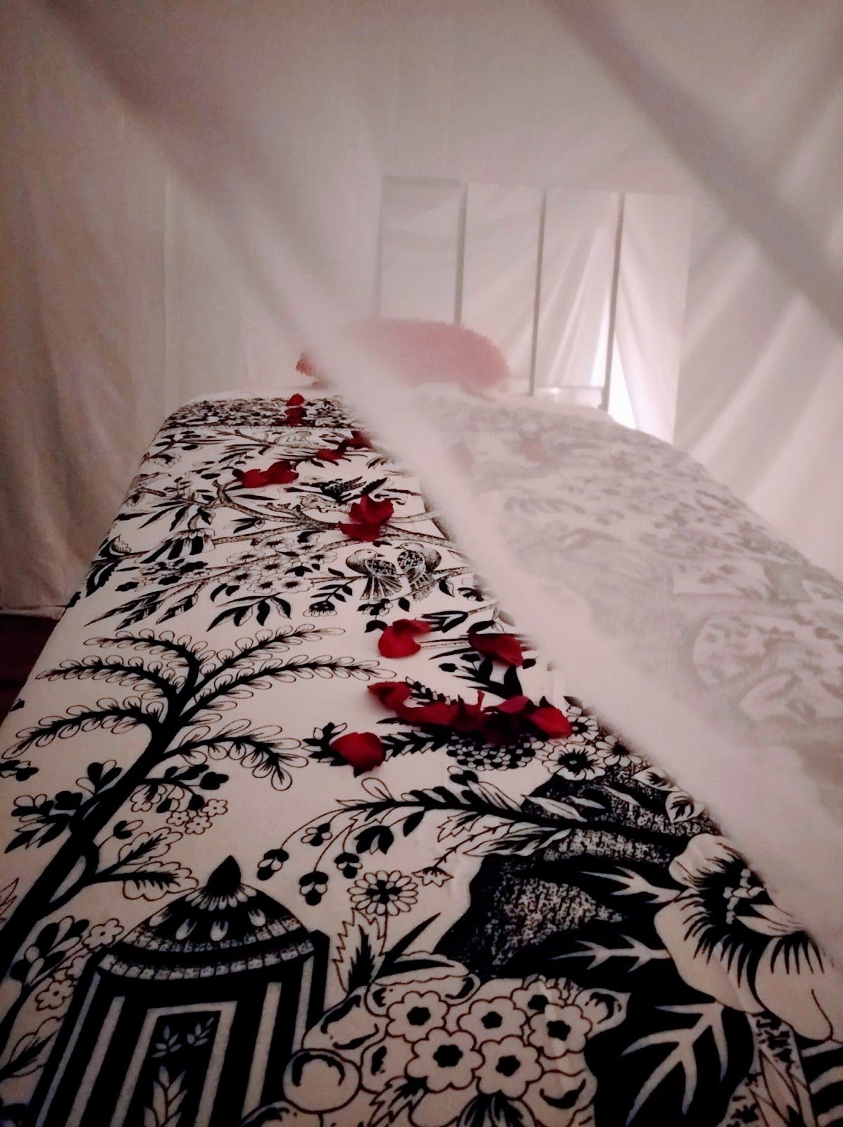 Tantra Massage Playa Del Ingles - Erotic Massage in Maspalomas, Spain