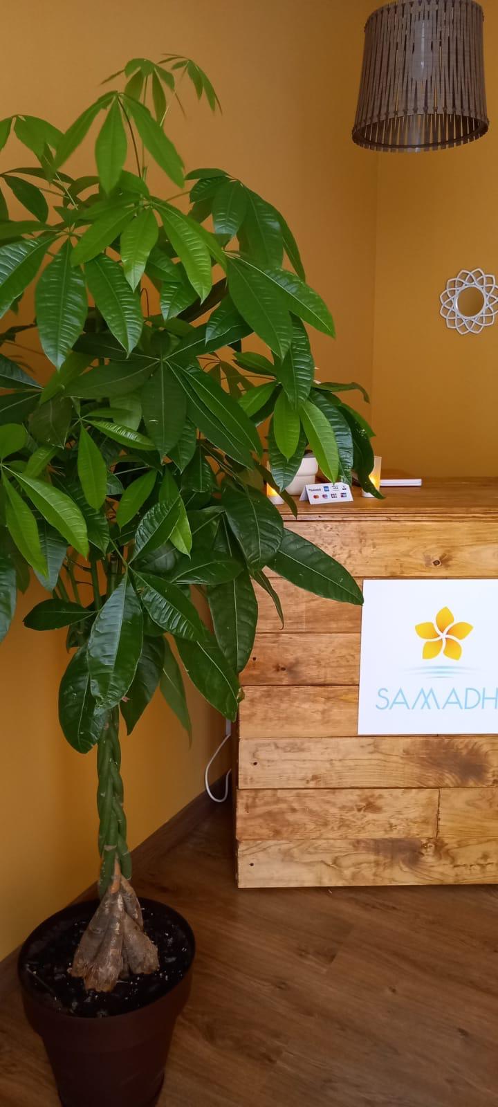 Masajes Eróticos En Valencia Samadhi - Erotic Massage in Valencia, Spain