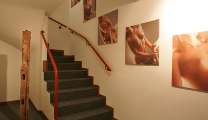 Haus Andrea - Brothel in Aarau, Switzerland