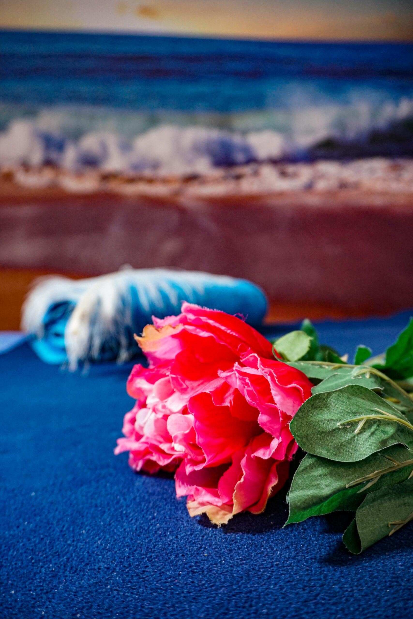 Tantra Paradies - Erotic Massage in Aefligen, Switzerland