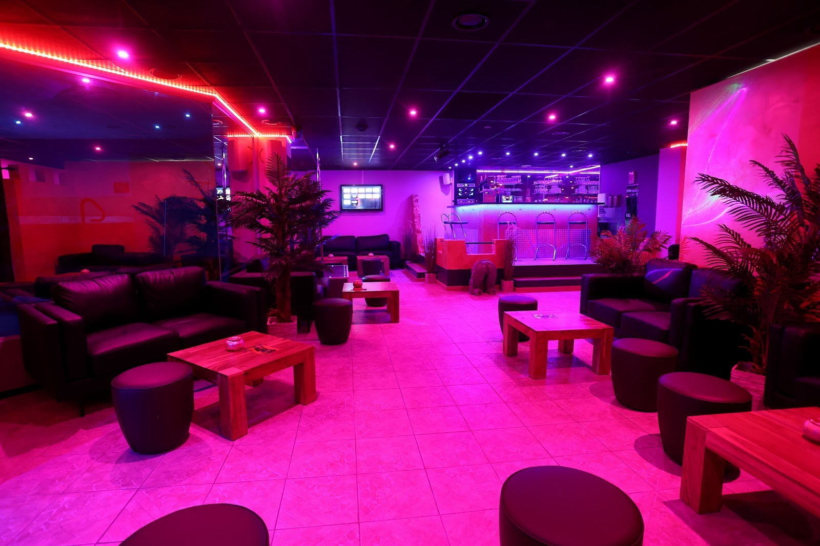 Pascha Club - Basel - Fkk in Basel, Switzerland