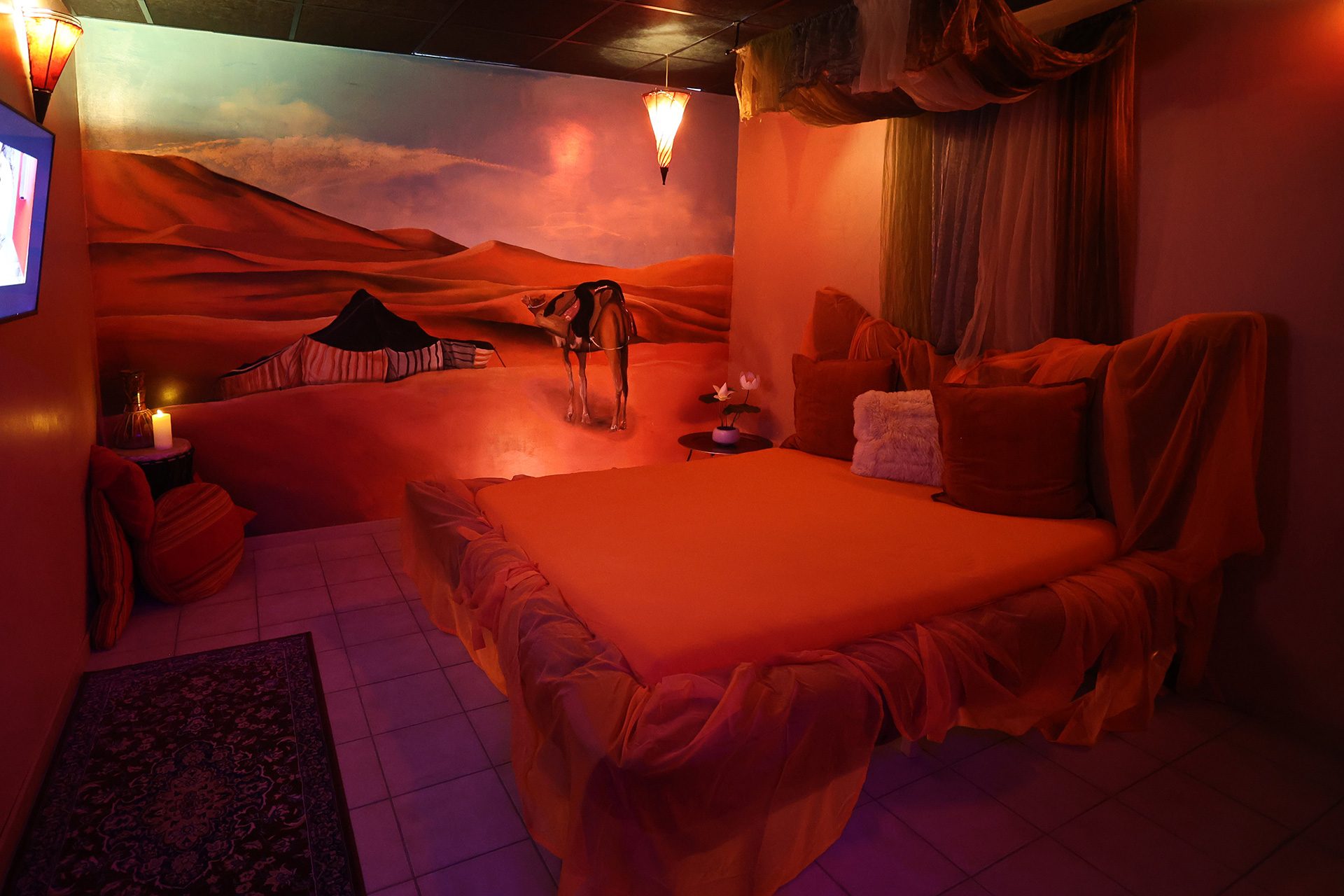 Pascha Club - Basel - Fkk in Basel, Switzerland