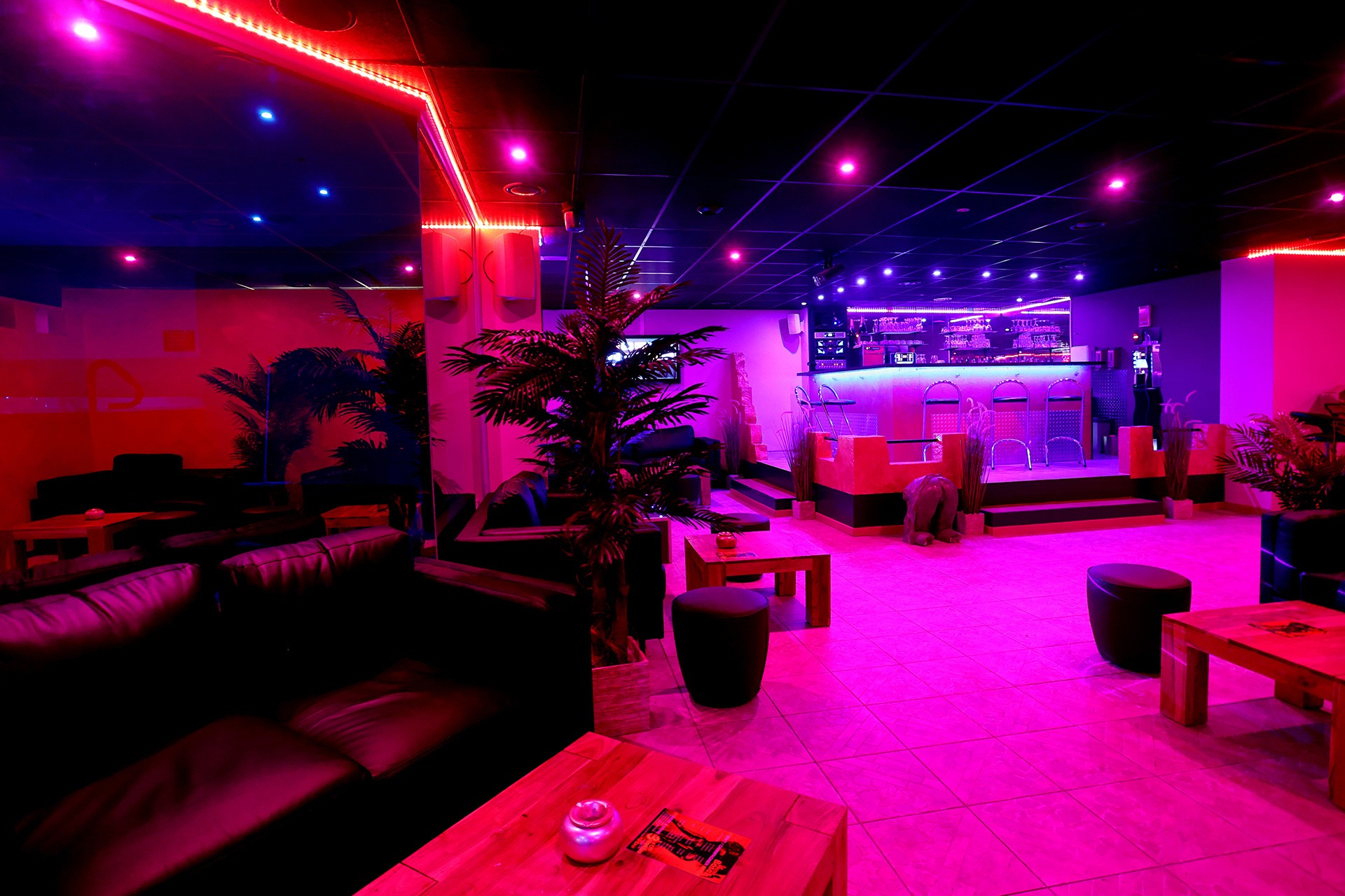 Pascha Club - Basel - Fkk in Basel, Switzerland
