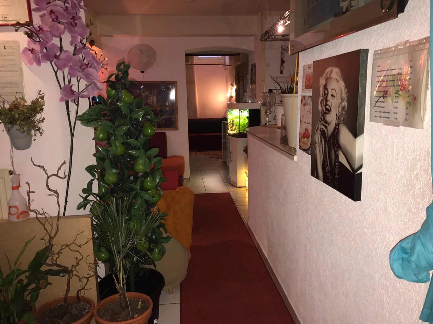 Thai Sauna Florida - Fkk in Basel, Switzerland