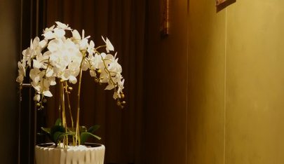 Erotische Massage - Erotic Massage in Bergdietikon, Switzerland