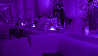 Pink Paradise Club - Nightclub in Chavannes Renens, Switzerland