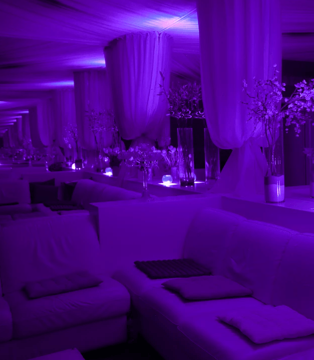 Pink Paradise Club - Nightclub in Chavannes Renens, Switzerland