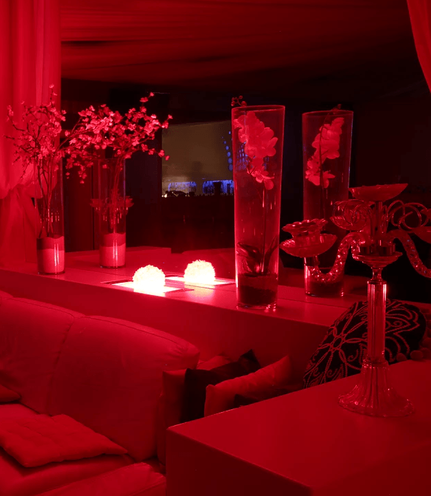 Pink Paradise Club - Nightclub in Chavannes Renens, Switzerland