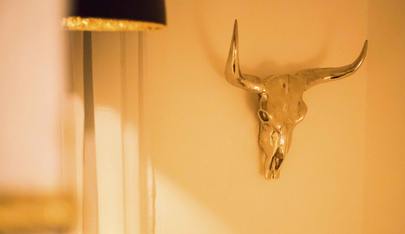 Studio Insomnia - Brothel in Dulliken, Switzerland