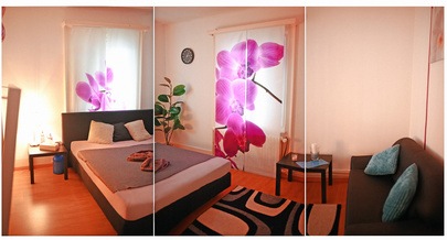 Studio Empire Girls - Brothel in Eschenbach, Switzerland