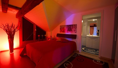 Studio Goldencats Gmbh - Brothel in Fischingen, Switzerland