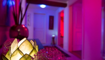 Studio Goldencats Gmbh - Brothel in Fischingen, Switzerland